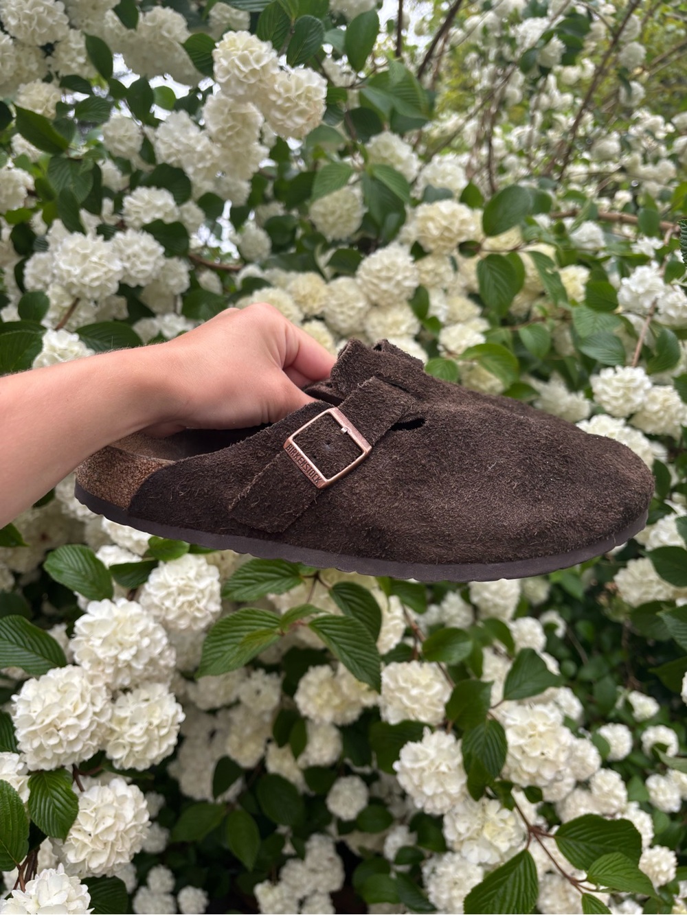 Birkenstock Brown Suede Slip-On Clog with Buckle